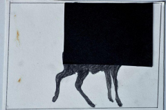 PEM7364-GAL-Okt-09-2018