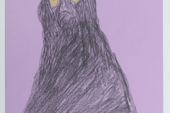 13_25_menne_daniela_katze2_sogesehen2021_029