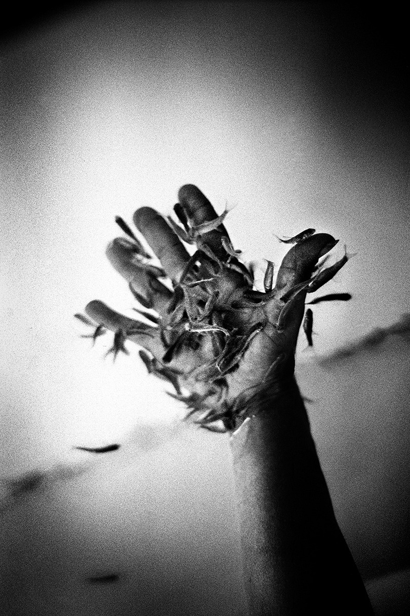 Yusuf Sevinçli - Derive